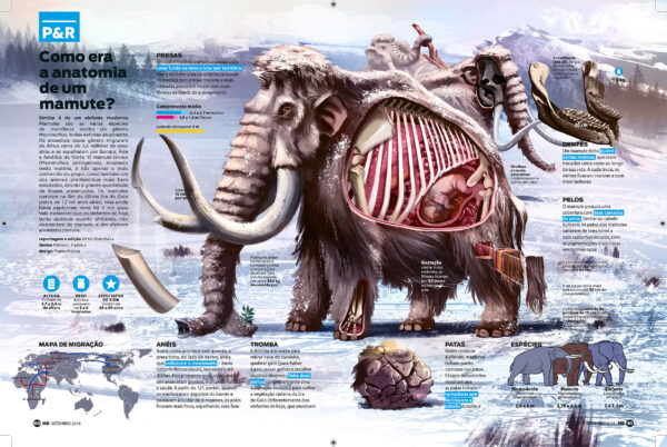 Ilustração editorial e/ou científica - Image 5