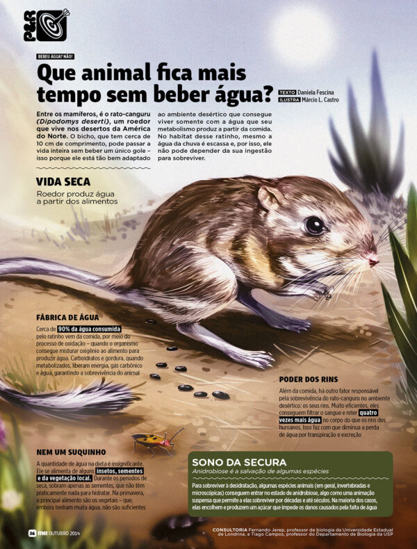 Ilustração editorial e/ou científica - Image 6