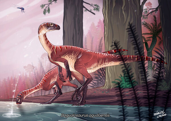 Print {Bagualosaurus agudoensis}