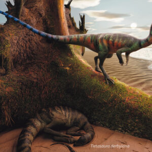 Print {Tietasaura} Ilustração Premiada